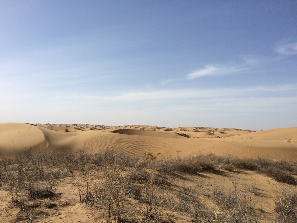 Mu-us (毛乌素) Desert, Ordos, Inner Mongolia