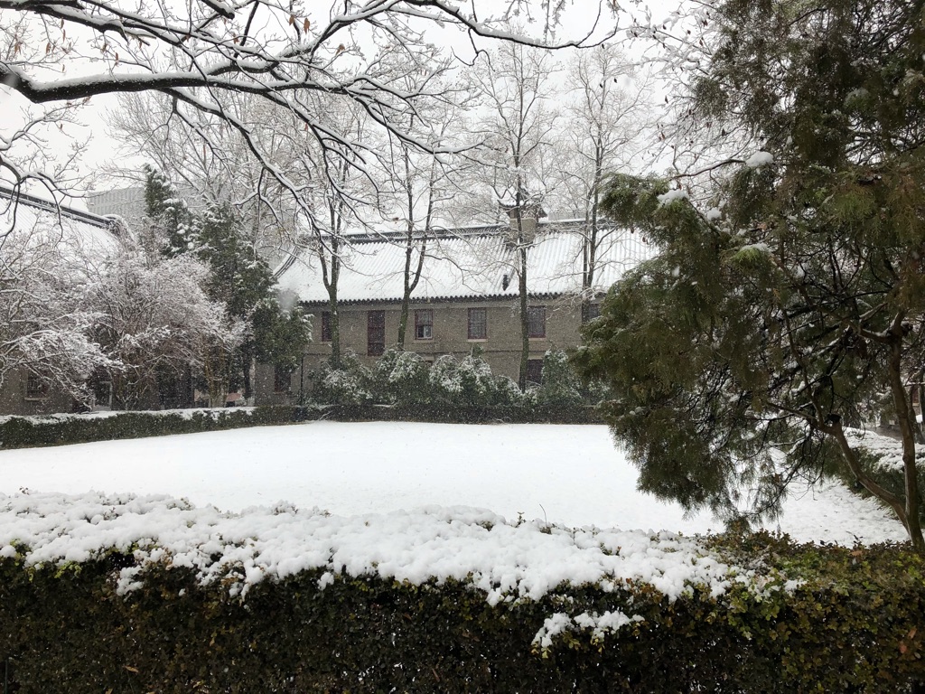 Nanjing University in Winter