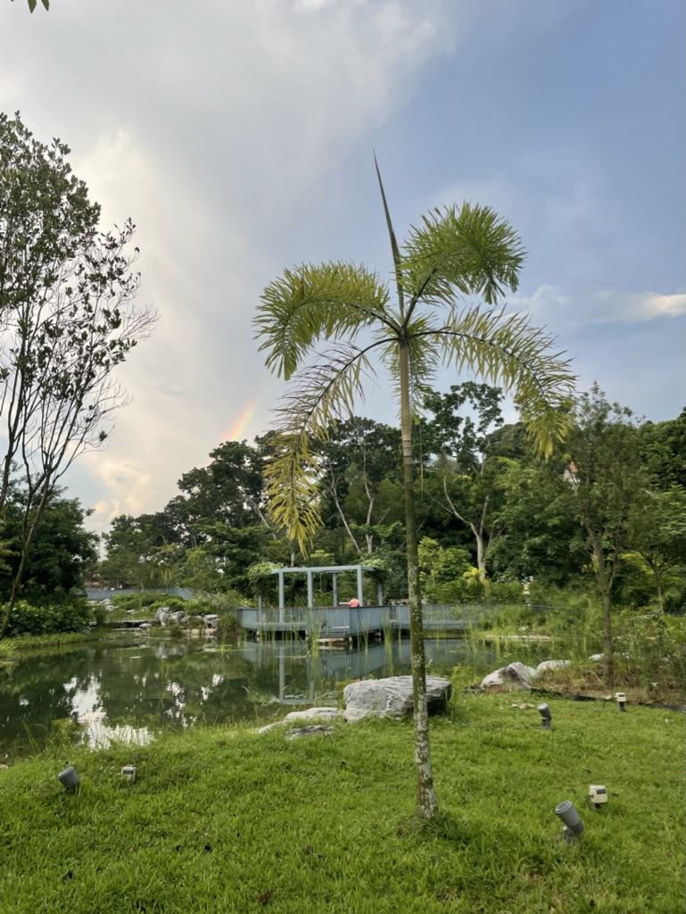 After a heavy rain, at Nanyang Technological University
